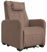 Массажное кресло реклайнер с подъемом FUJIMO LIFT CHAIR F3005 FLFL Терра (Sakura 20)