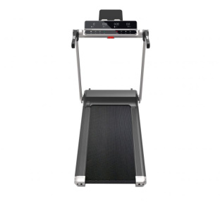 Беговая дорожка Fitex Pro LAIMA